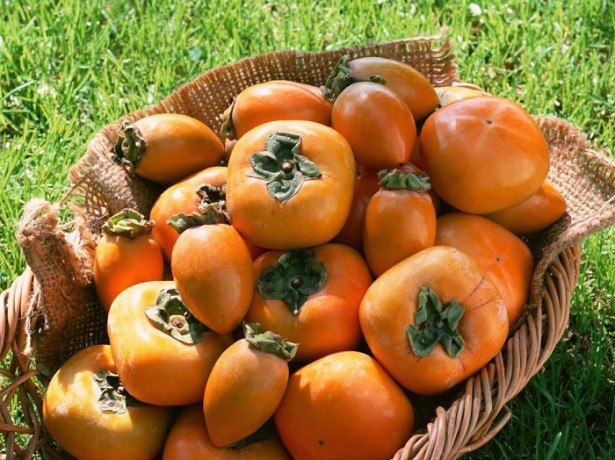 Kaki – pikaealisuse marja
